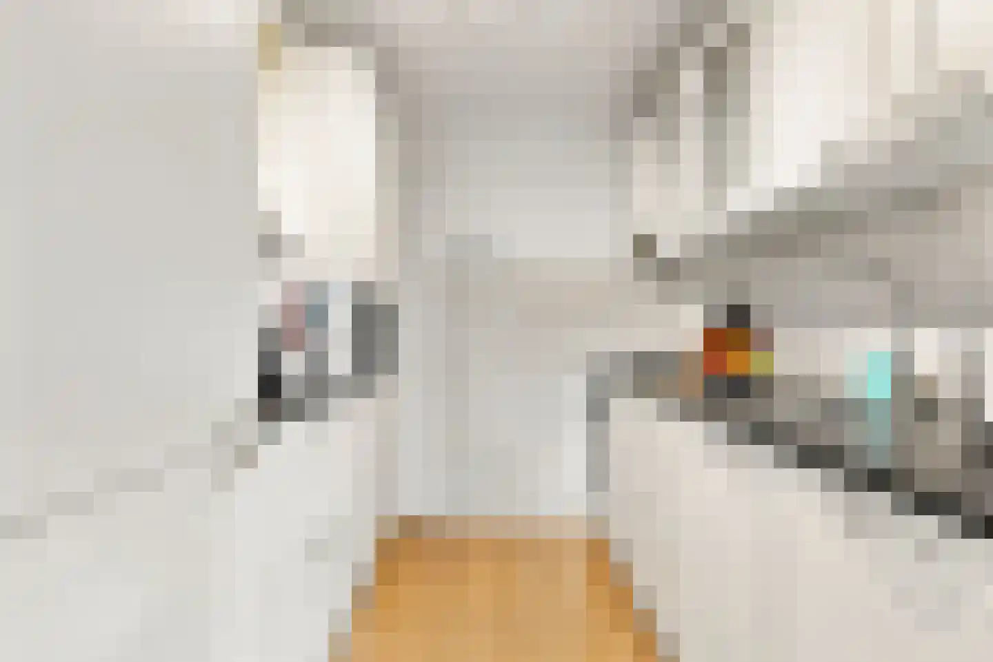 Aartsbisschop Romerostraat 363 Utrecht thumbnail 7