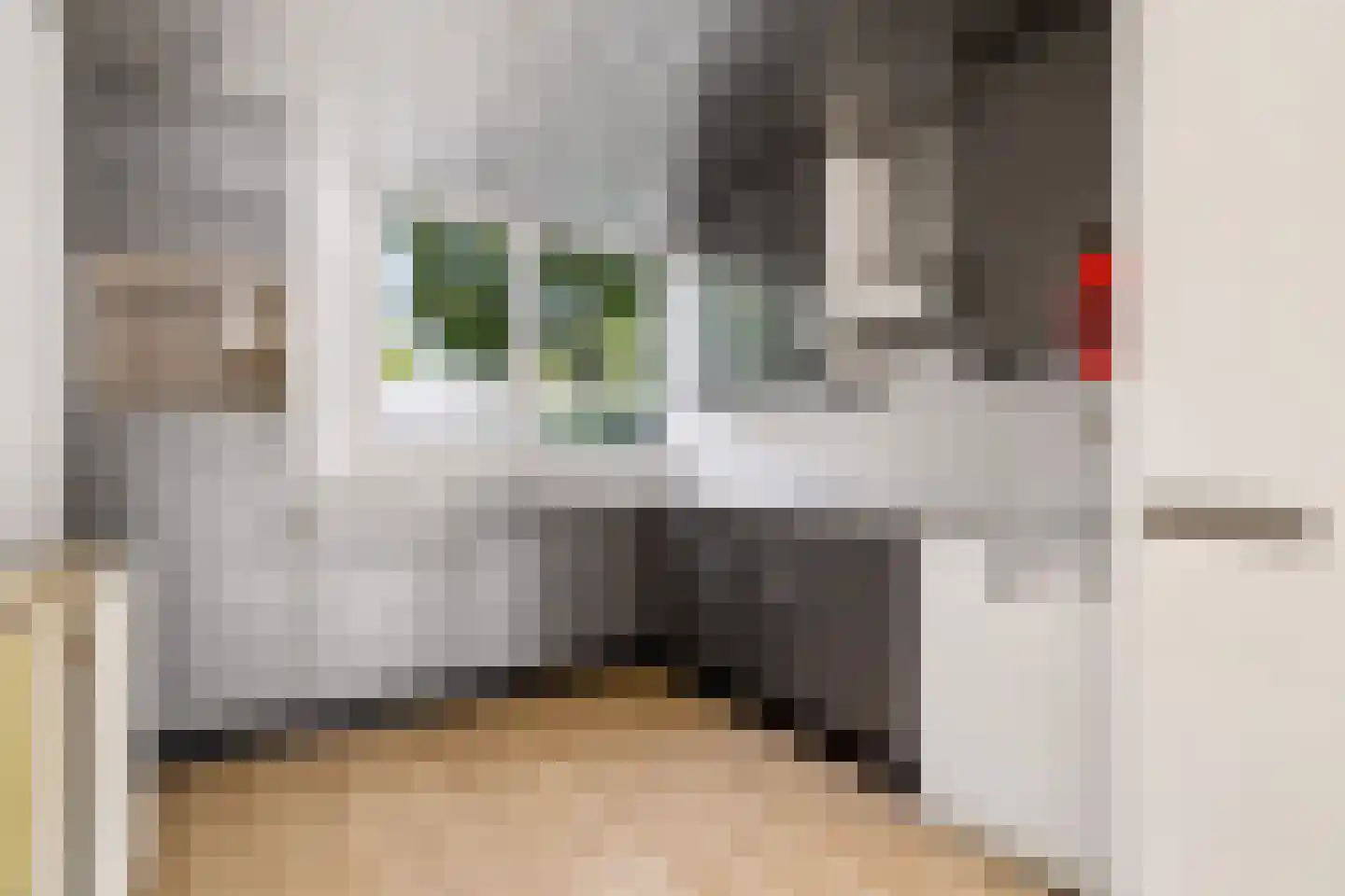 Aartsbisschop Romerostraat 507 Utrecht thumbnail 10