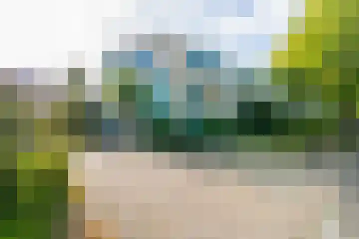 Aartsbisschop Romerostraat 547 Utrecht thumbnail 4