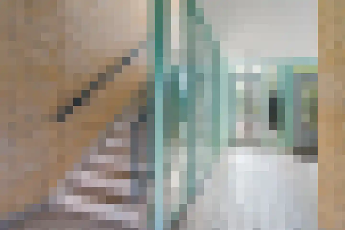 Aartsbisschop Romerostraat 608 Utrecht thumbnail 9