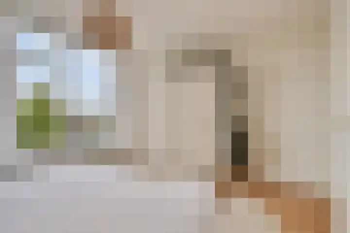 Aartsbisschop Romerostraat 632 Utrecht thumbnail 10