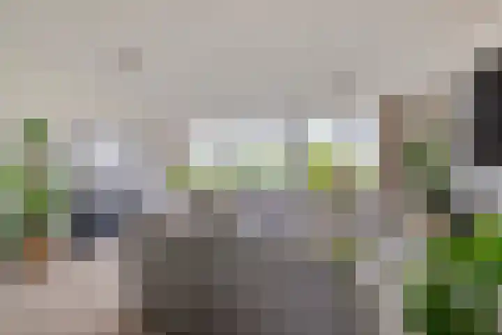 Aartsbisschop Romerostraat 632 Utrecht thumbnail 4