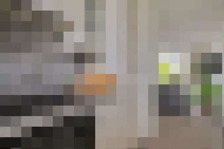 Aartsbisschop Romerostraat 632 Utrecht thumbnail 8