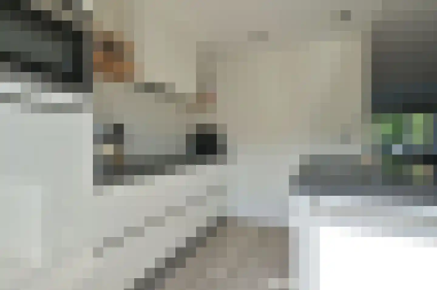 Aartseveen 101 Eemnes thumbnail 8