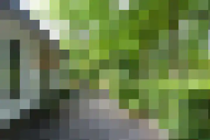 Aartseveen 3 Eemnes thumbnail 4