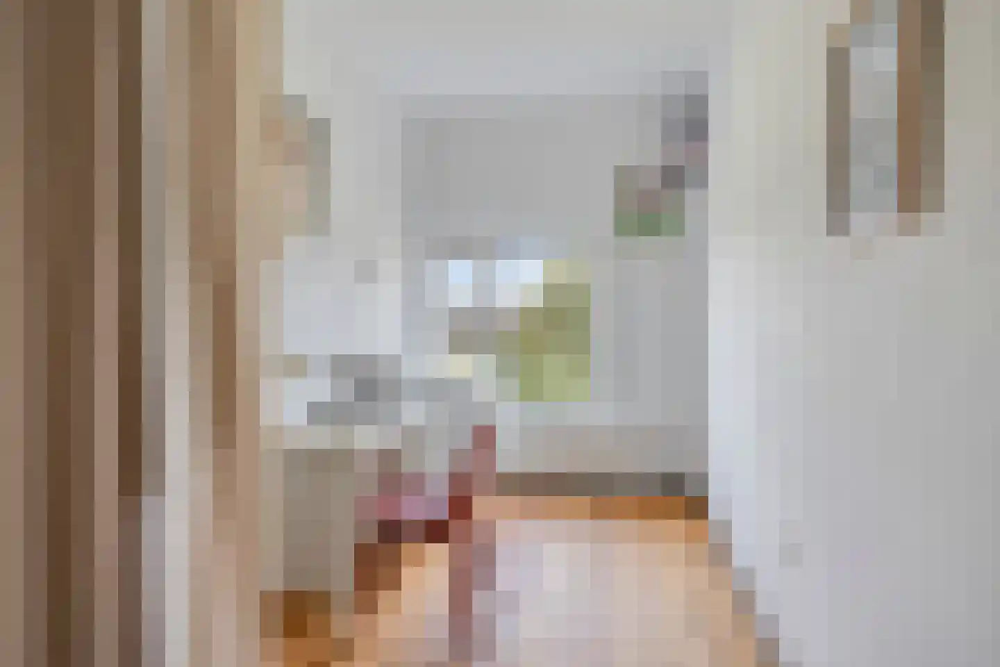 Aartshertog Albertweg 14 Eindhoven thumbnail 19