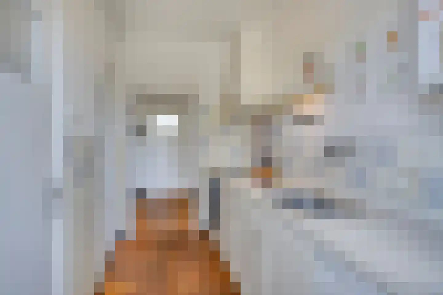Aartshertog Albertweg 14 Eindhoven thumbnail 23
