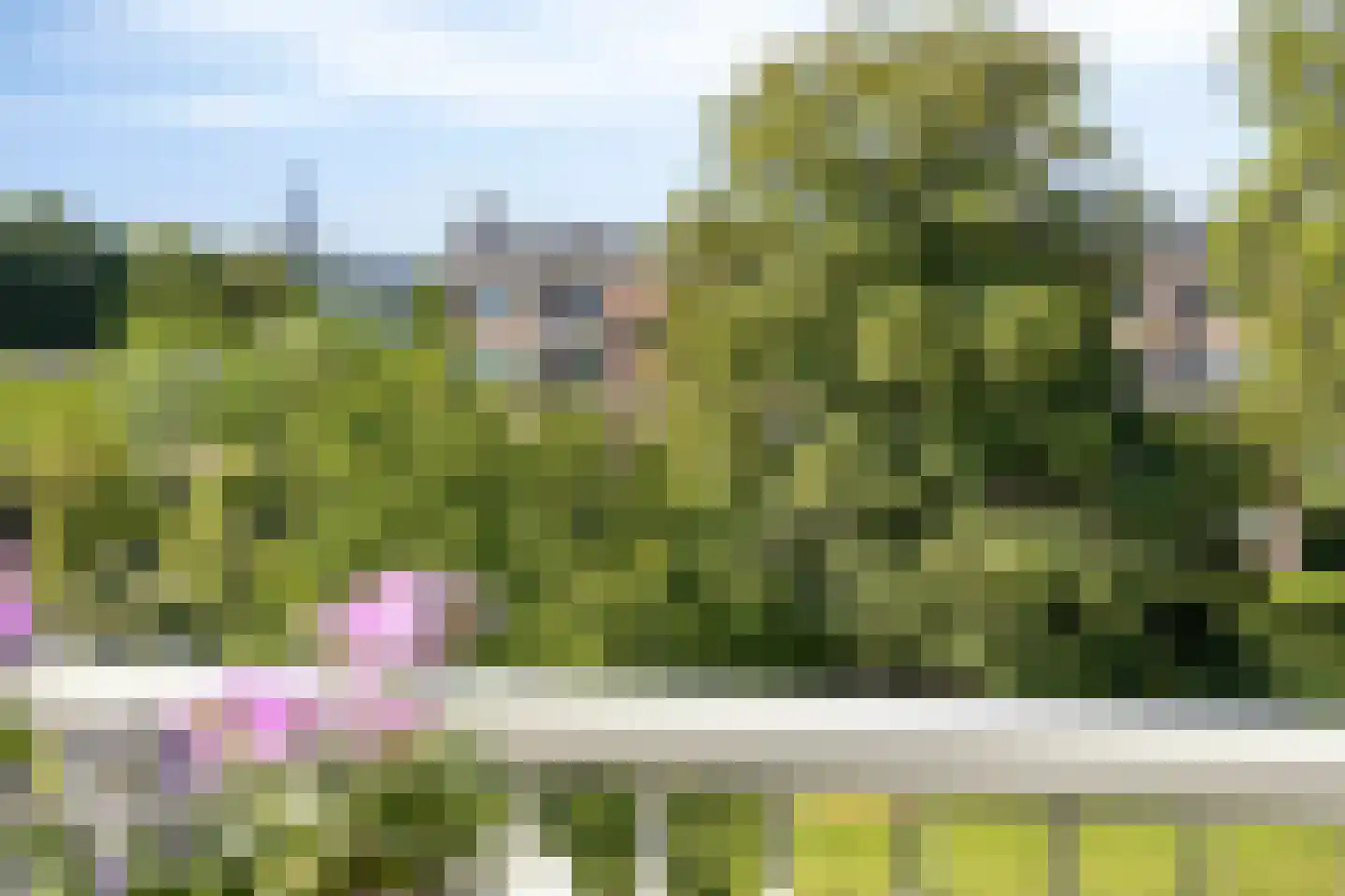 Aartshertog Albertweg 14 Eindhoven thumbnail 29