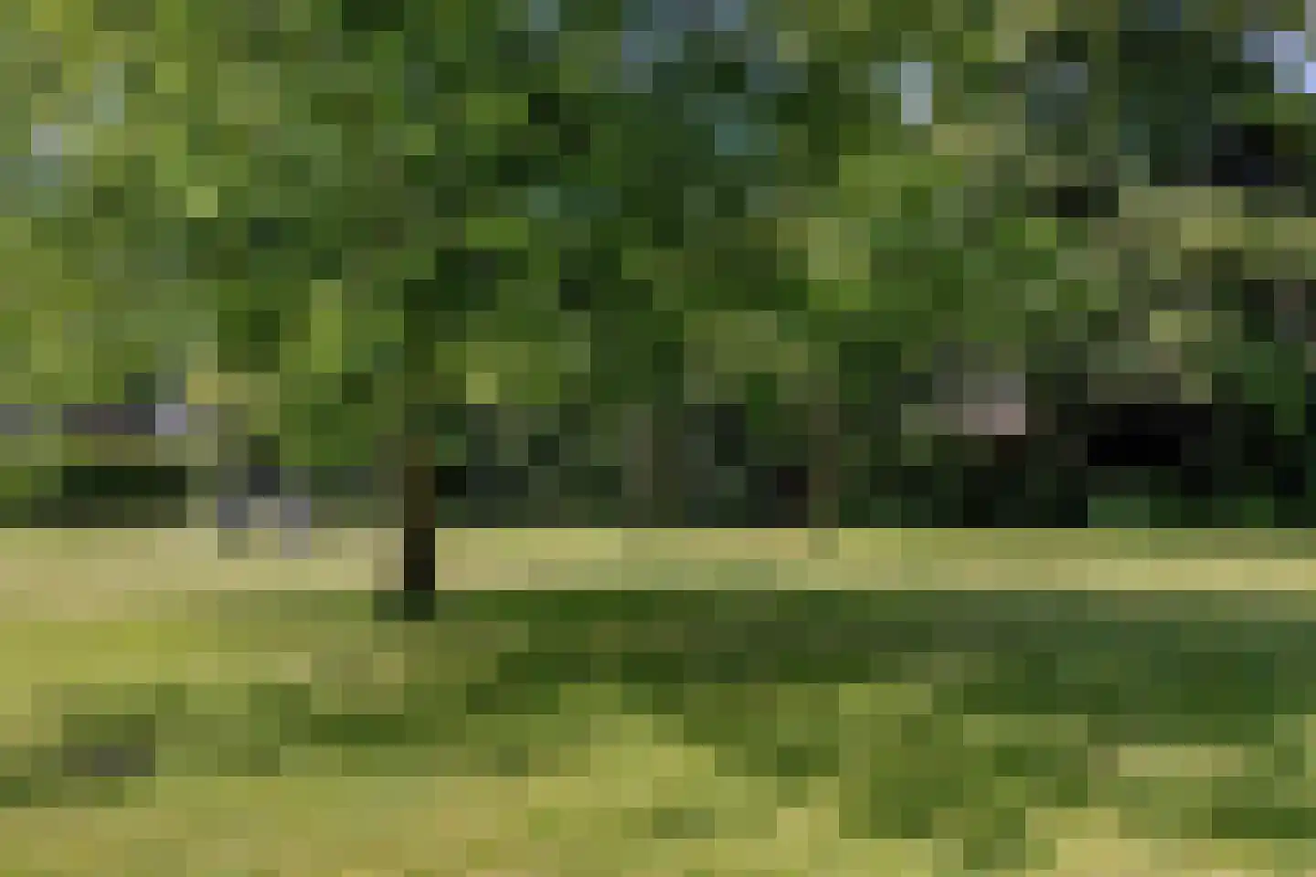 Aartshertog Albertweg 14 Eindhoven thumbnail 35