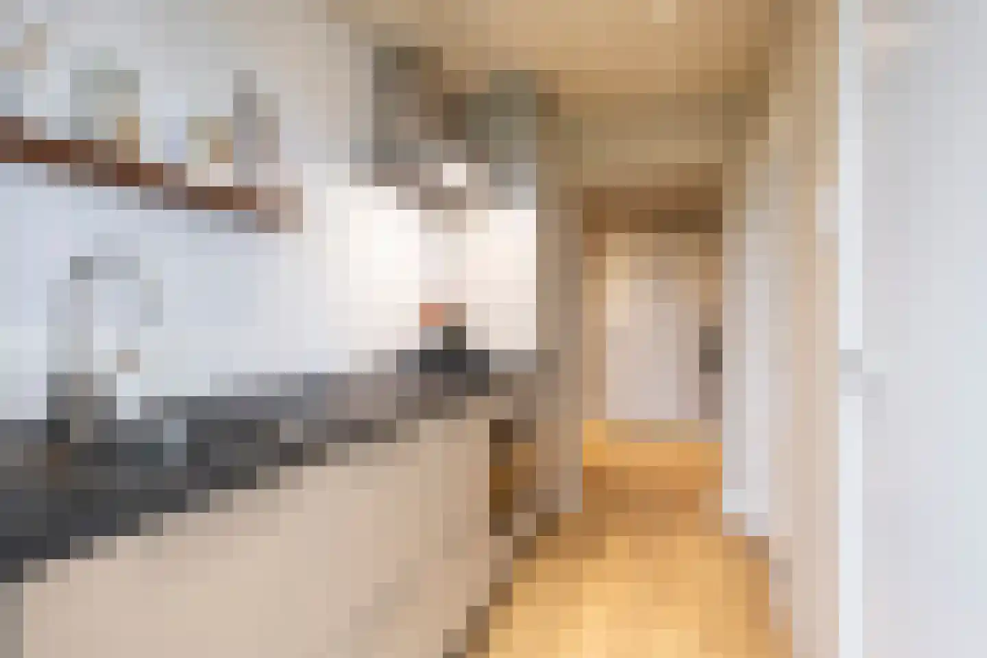 Aartshertog Albertweg 24 Eindhoven thumbnail 25
