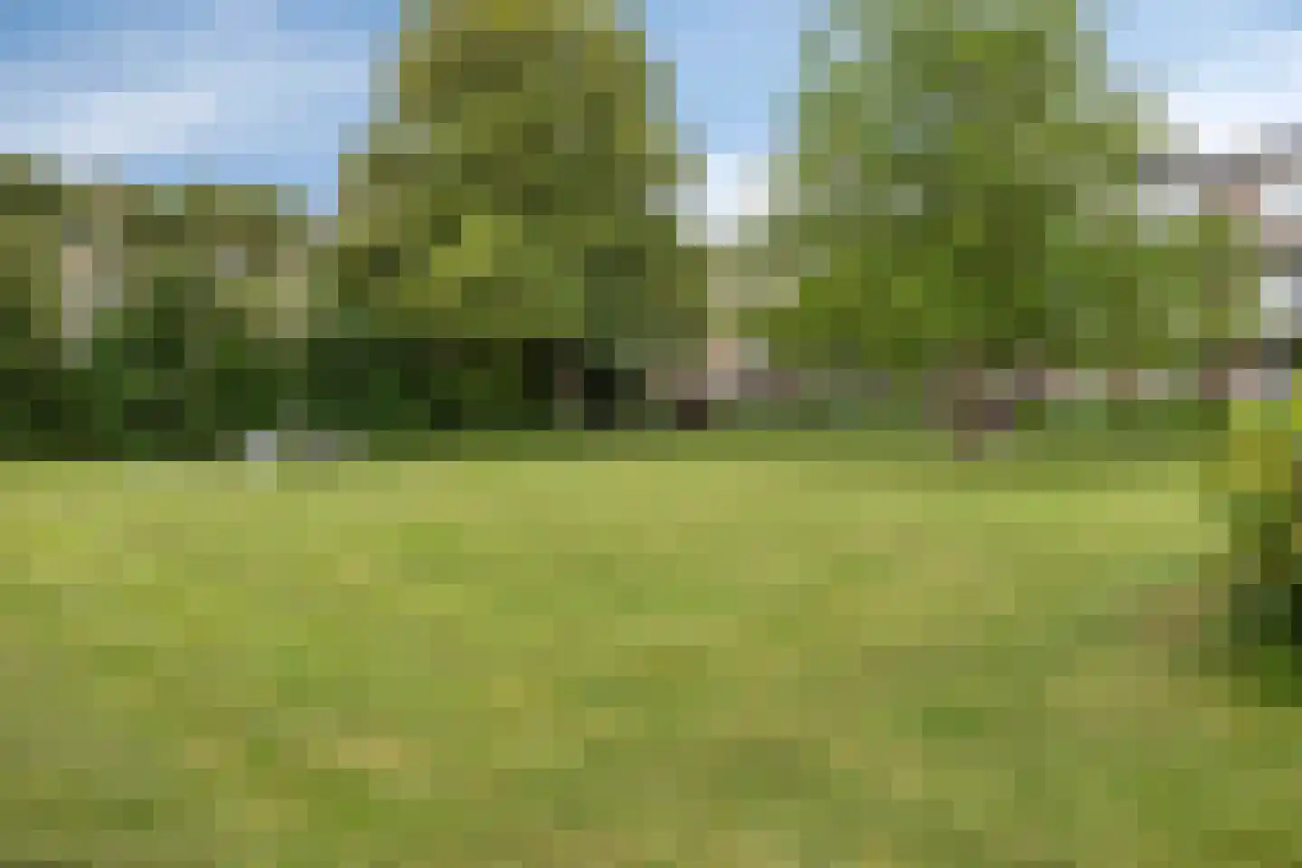 Aartshertog Albertweg 24 Eindhoven thumbnail 34