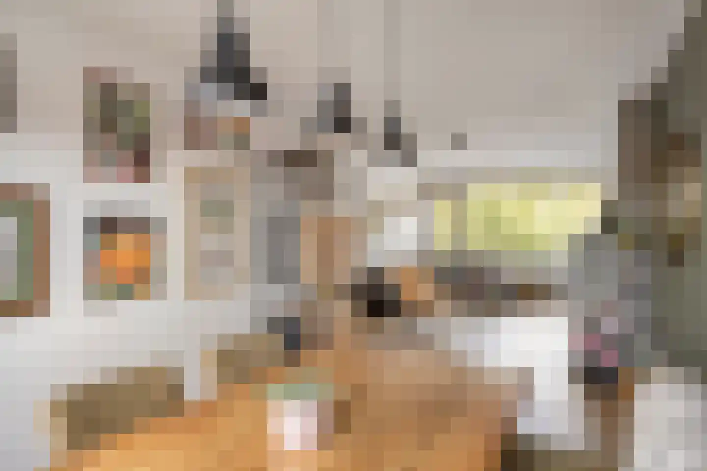Aartshertogenlaan 101 's-Hertogenbosch thumbnail 11