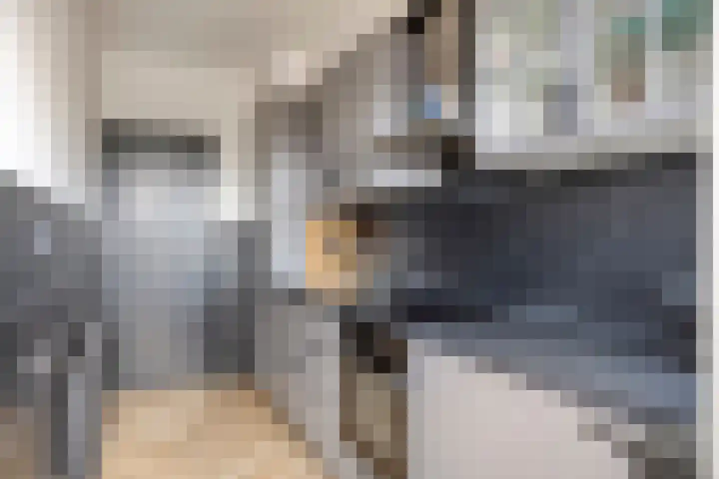 Aartshertogenlaan 101 's-Hertogenbosch thumbnail 15
