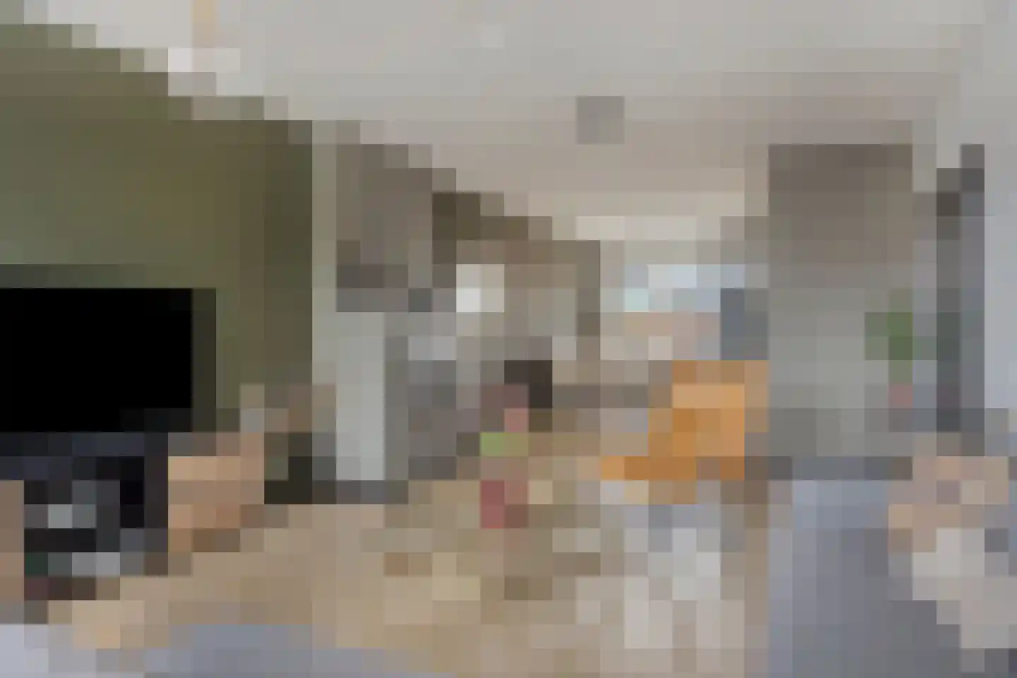 Aartshertogenlaan 101 's-Hertogenbosch thumbnail 7