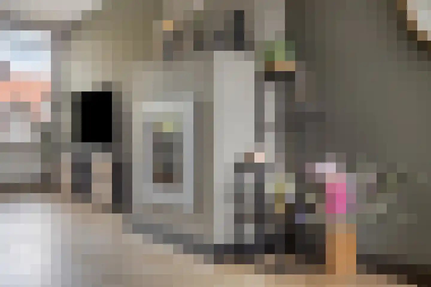 Aartshertogenlaan 101 's-Hertogenbosch thumbnail 8