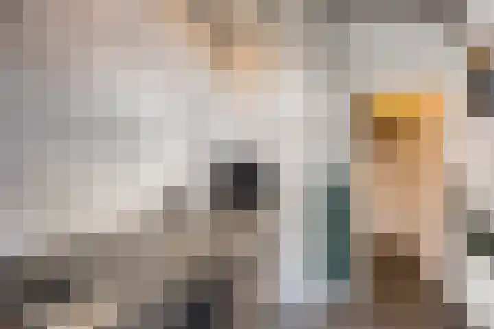 Aartshertogenlaan 183 's-Hertogenbosch thumbnail 10