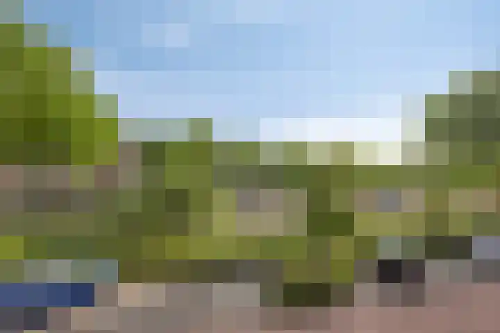 Aartshertogenlaan 183 's-Hertogenbosch thumbnail 20
