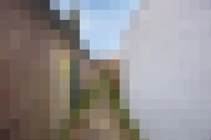 Aartshertogenlaan 183 's-Hertogenbosch thumbnail 28