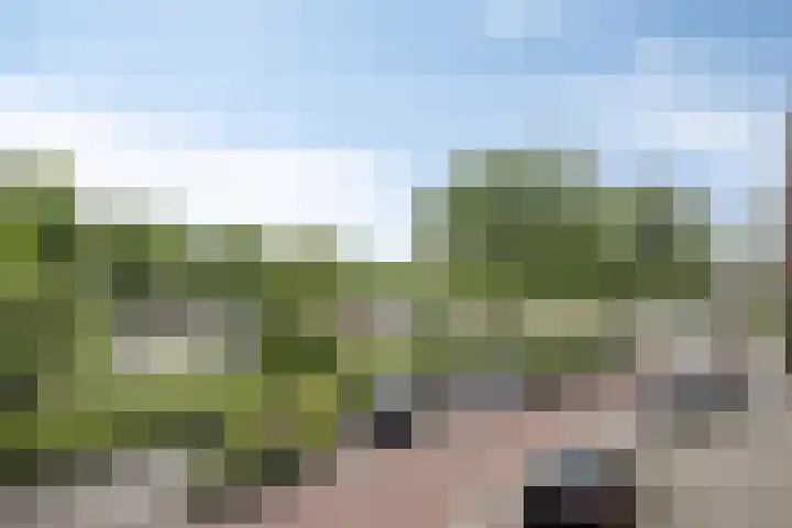 Aartshertogenlaan 183 's-Hertogenbosch thumbnail 31
