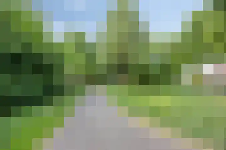Aartshertogenlaan 183 's-Hertogenbosch thumbnail 33