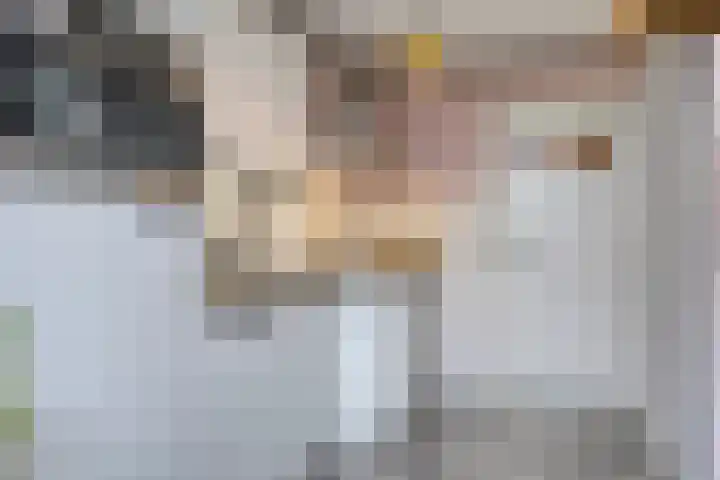 Aartshertogenlaan 194 's-Hertogenbosch thumbnail 10