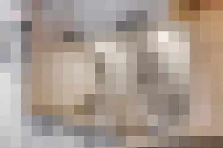 Aartshertogenlaan 194 's-Hertogenbosch thumbnail 11