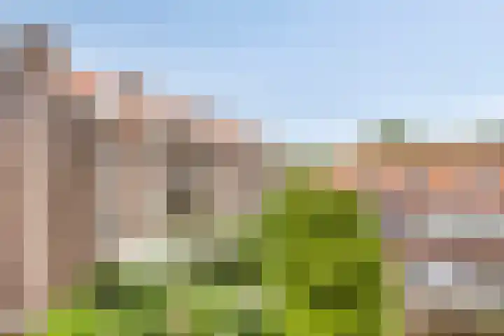 Aartshertogenlaan 194 's-Hertogenbosch thumbnail 23