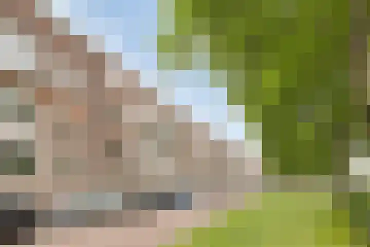 Aartshertogenlaan 194 's-Hertogenbosch thumbnail 25