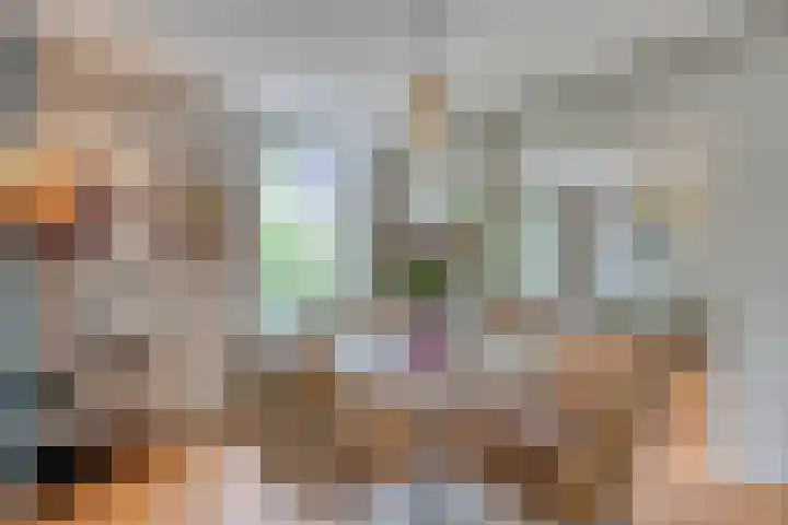 Aartshertogenlaan 194 's-Hertogenbosch thumbnail 6