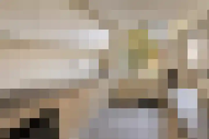 Aartshertogenlaan 198 's-Hertogenbosch thumbnail 11