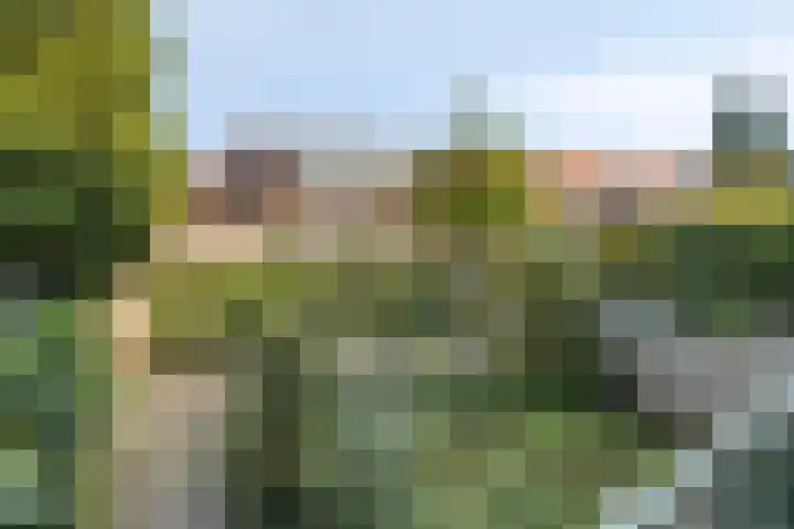 Aartshertogenlaan 198 's-Hertogenbosch thumbnail 12