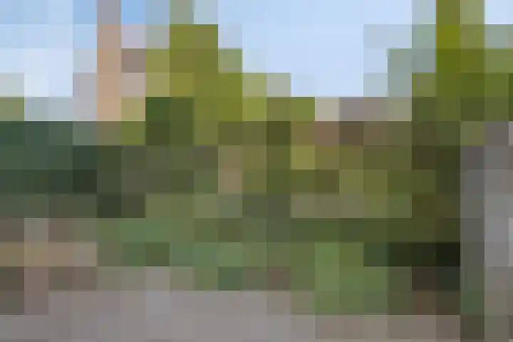 Aartshertogenlaan 198 's-Hertogenbosch thumbnail 13