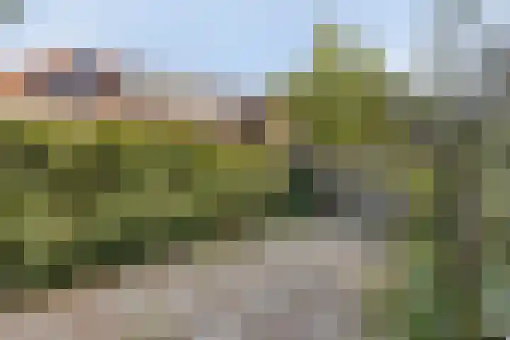 Aartshertogenlaan 198 's-Hertogenbosch thumbnail 14
