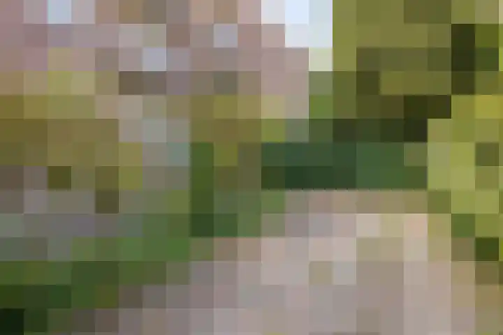 Aartshertogenlaan 198 's-Hertogenbosch thumbnail 15