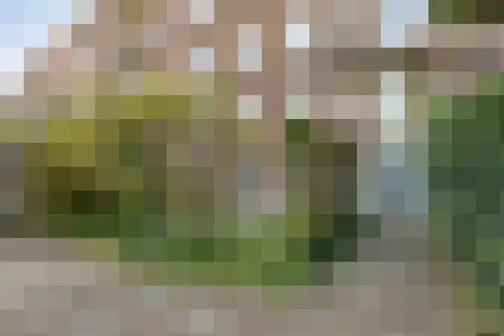Aartshertogenlaan 198 's-Hertogenbosch thumbnail 16
