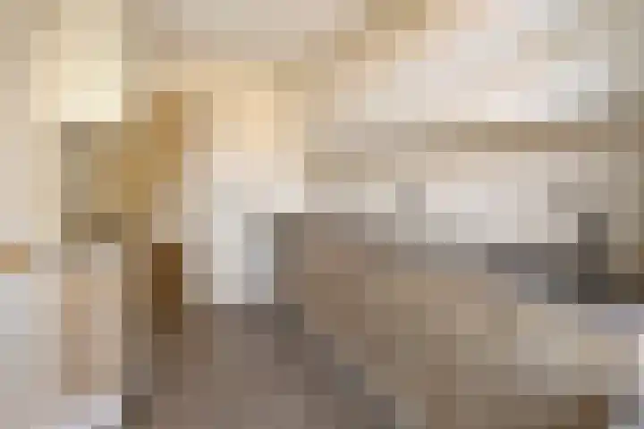 Aartshertogenlaan 198 's-Hertogenbosch thumbnail 17