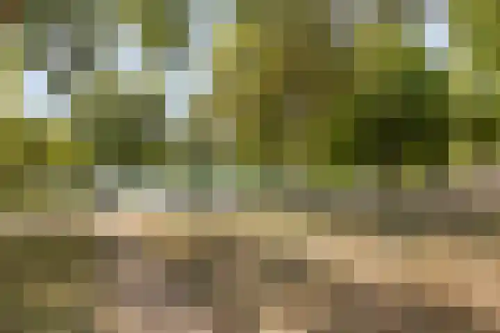 Aartshertogenlaan 198 's-Hertogenbosch thumbnail 27