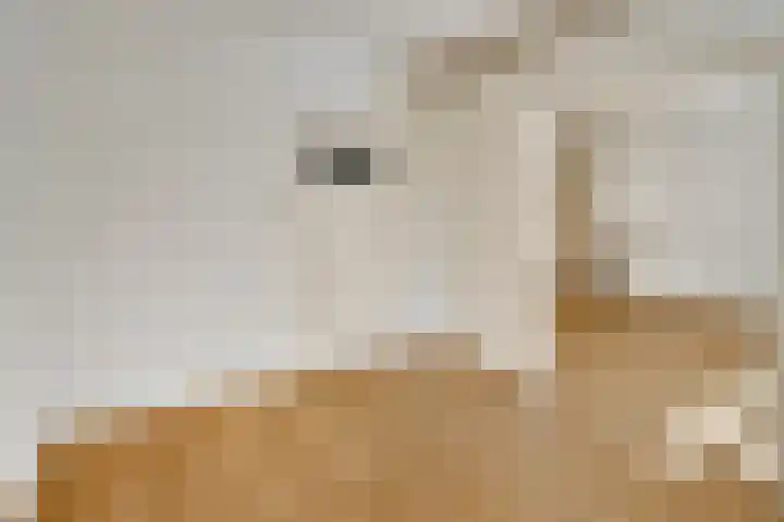 Aartshertogenlaan 198 's-Hertogenbosch thumbnail 4