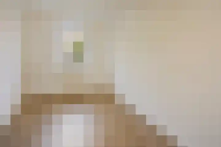 Aartshertogenlaan 198 's-Hertogenbosch thumbnail 7