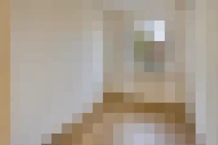 Aartshertogenlaan 198 's-Hertogenbosch thumbnail 9