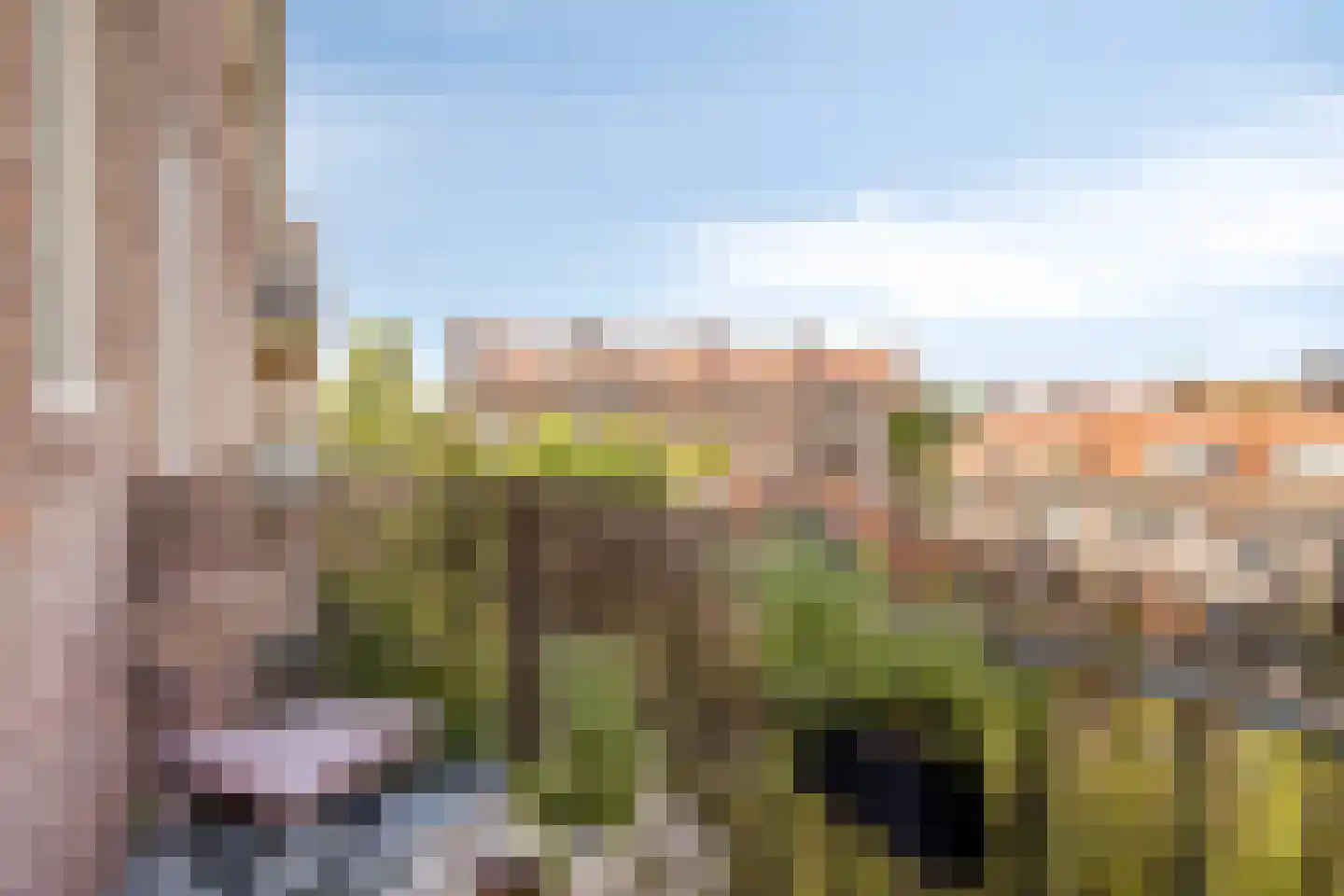 Aartshertogenlaan 226 's-Hertogenbosch thumbnail 19