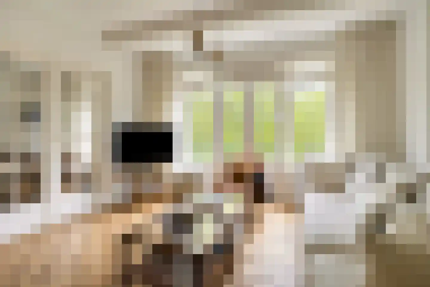 Aartshertogenlaan 226 's-Hertogenbosch thumbnail 4