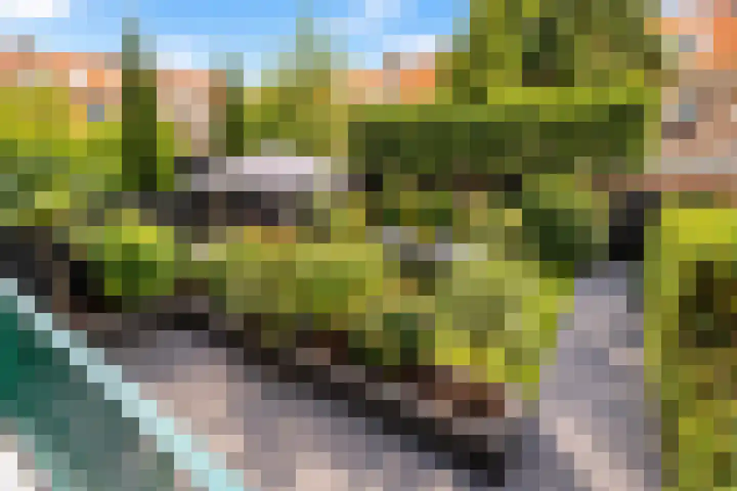 Aartshertogenlaan 238 's-Hertogenbosch thumbnail 14