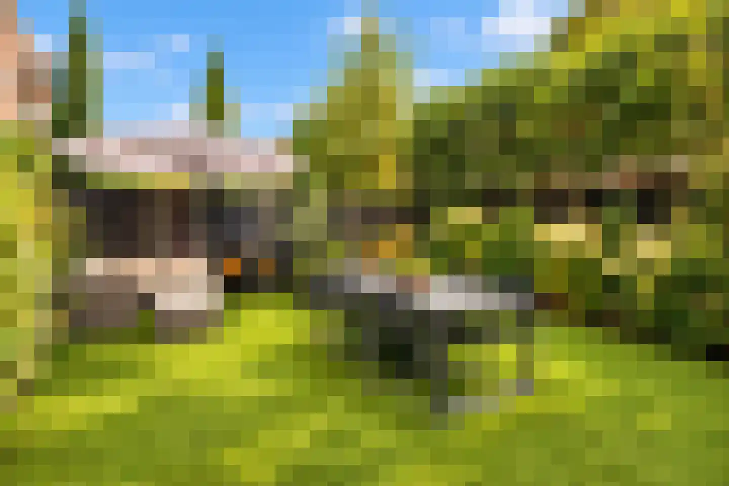 Aartshertogenlaan 238 's-Hertogenbosch thumbnail 16