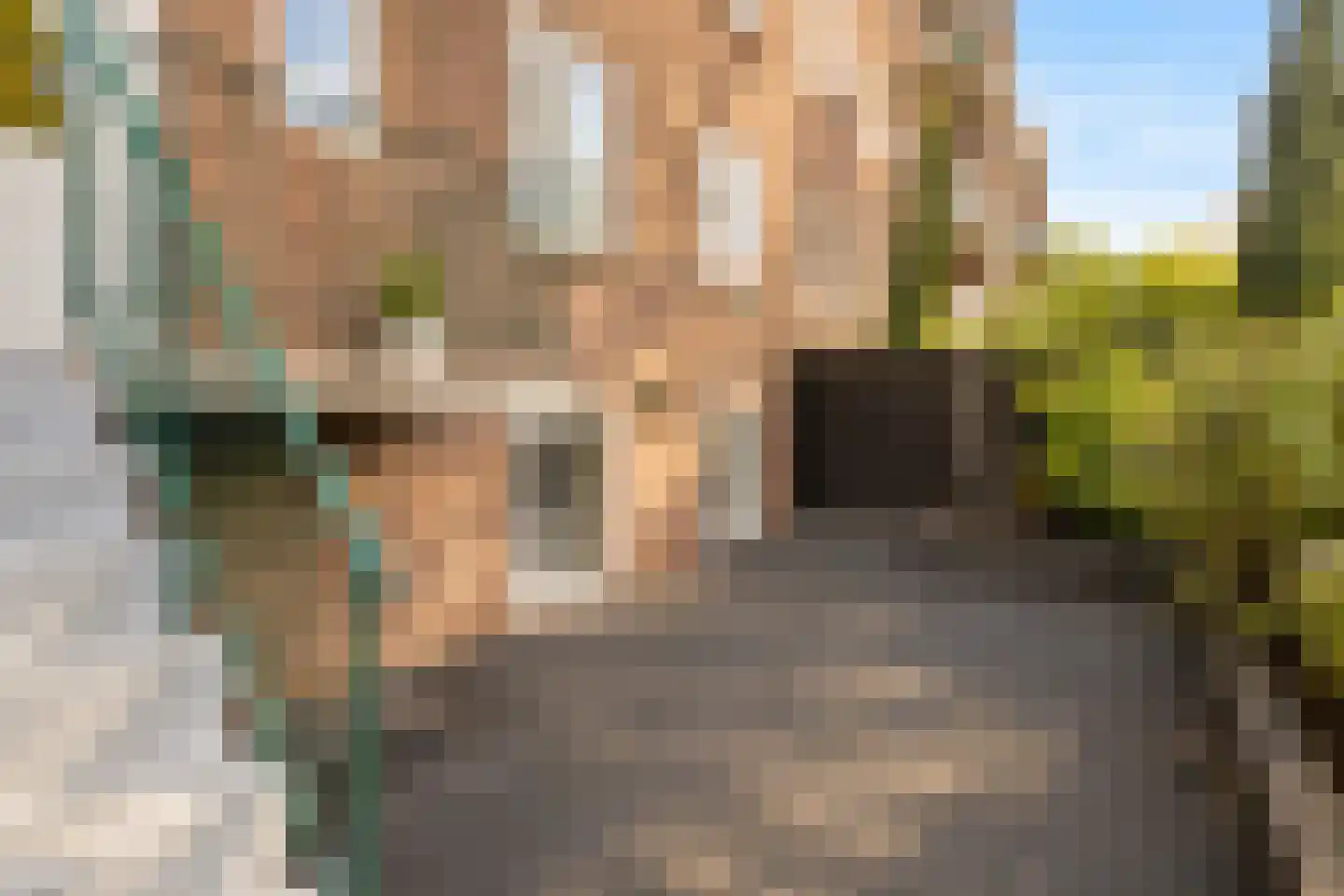Aartshertogenlaan 238 's-Hertogenbosch thumbnail 18