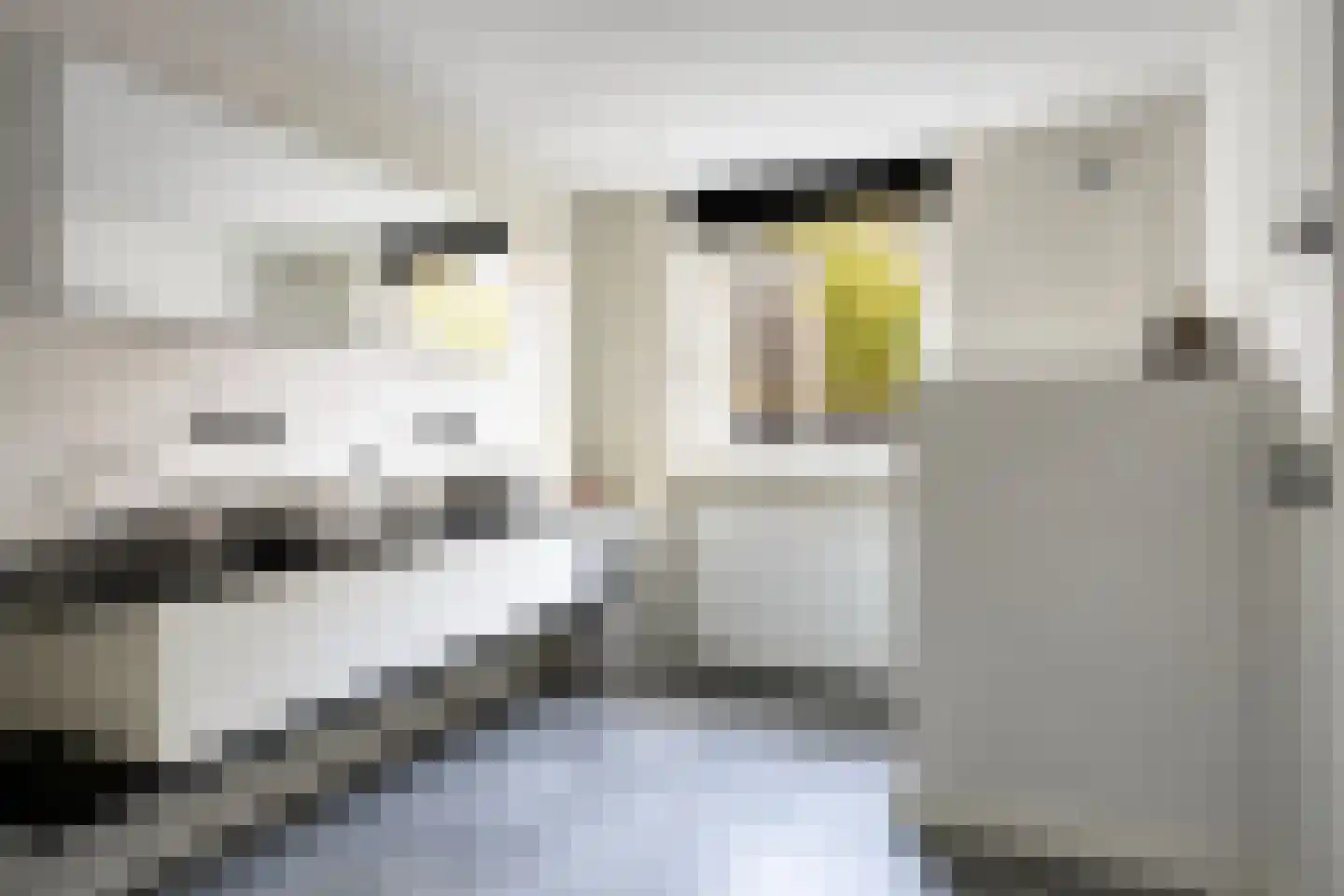 Aartshertogenlaan 238 's-Hertogenbosch thumbnail 24