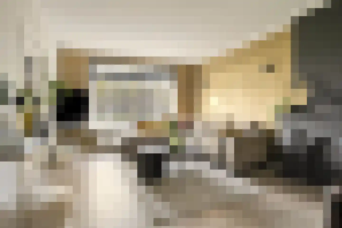 Aartshertogenlaan 238 's-Hertogenbosch thumbnail 5