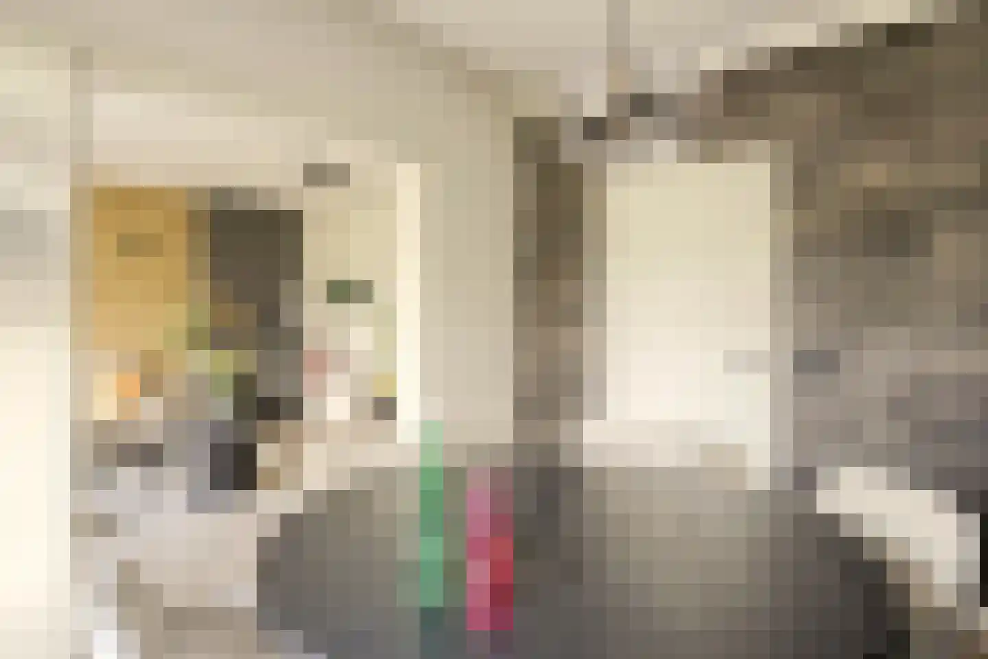 Aartshertogenlaan 238 's-Hertogenbosch thumbnail 8