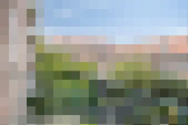 Aartshertogenlaan 240 's-Hertogenbosch thumbnail 13