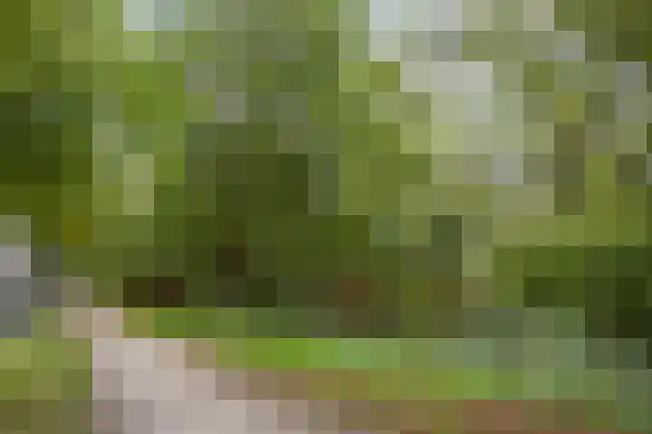 Aartshertogenlaan 240 's-Hertogenbosch thumbnail 22